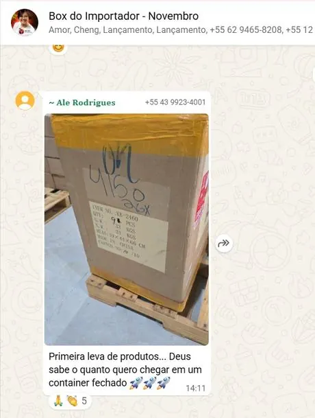 Print de WhatsApp do grupo Box do Importador: aluna recebendo a primeira leva de produtos